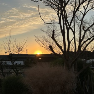 2026　今年も宜しくお願いします